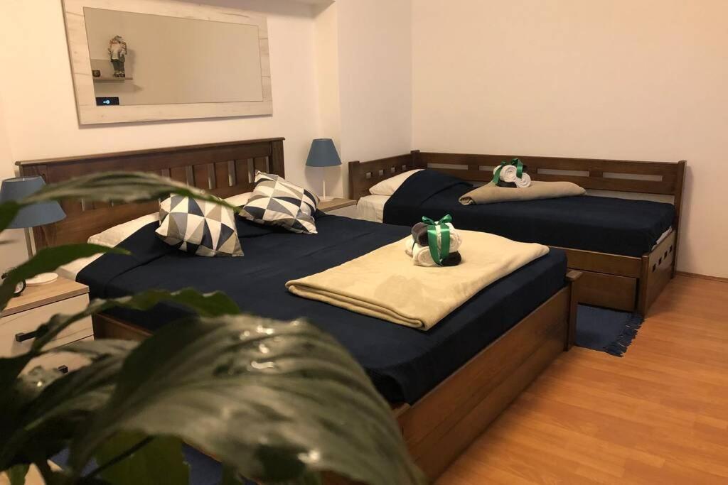 בלגרד Apartments Balkanska City Center מראה חיצוני תמונה